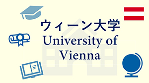 비엔나 대메이저 놀이터