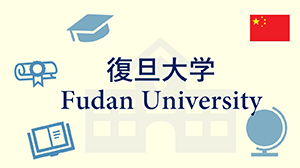 푸단대메이저 놀이터