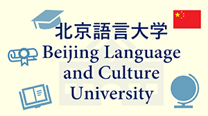 베이징어언대메이저 놀이터