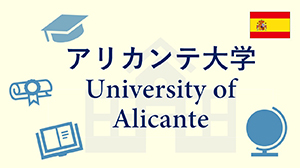 알리칸테 대메이저 놀이터